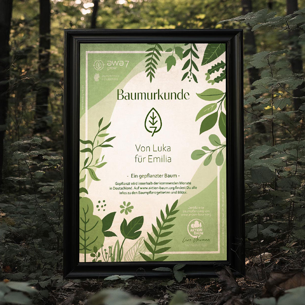 Baumurkunde von Luka für Emilia