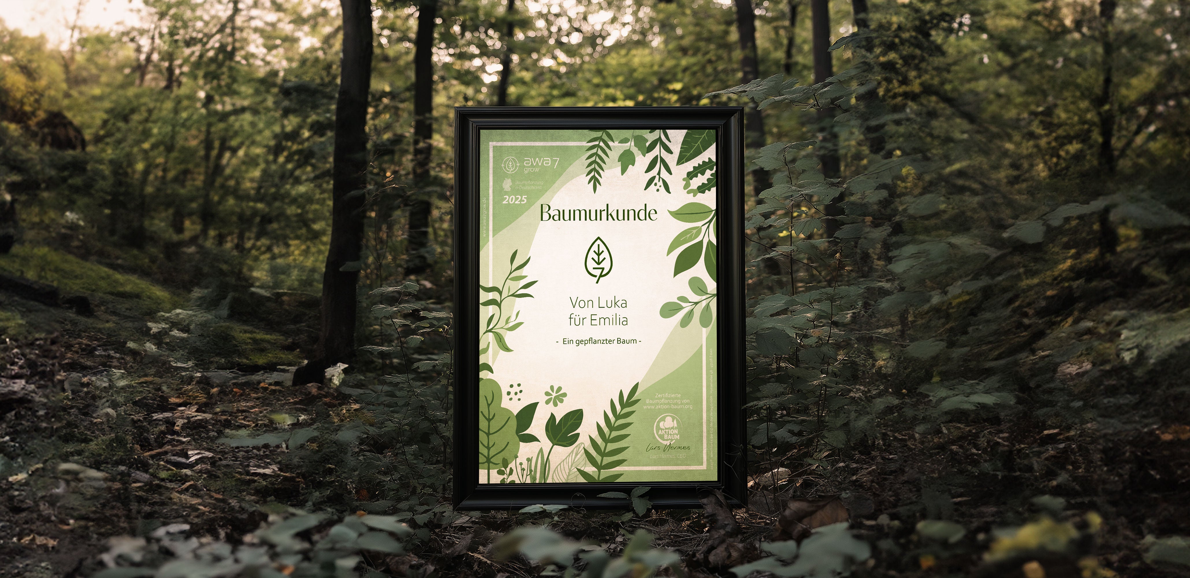 Baumurkunde  (Beispiel) von Luka  für Emilia. Im Hintergrund ist ein Wald zu sehen