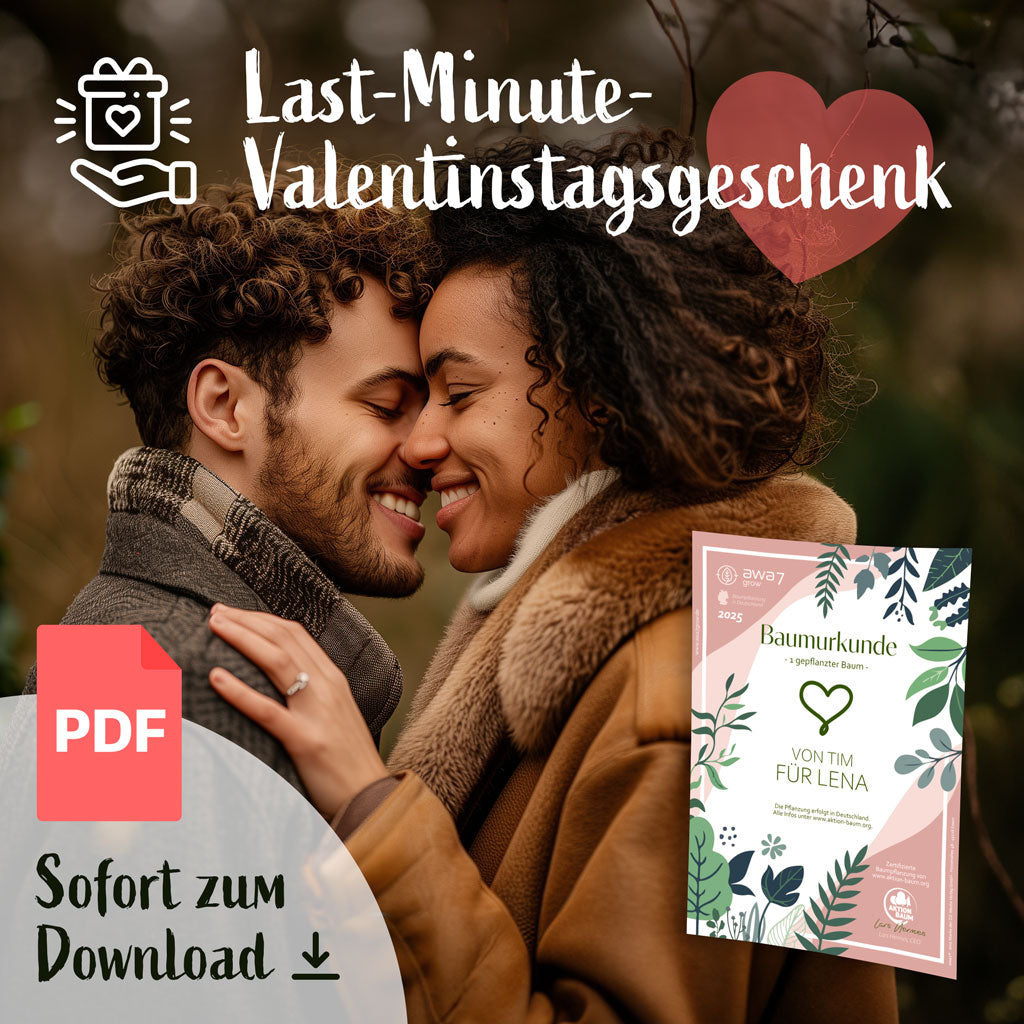 Baumurkunde zum Valentinstag ein Verliebtes Pärchen was sich verliebt ansieht.