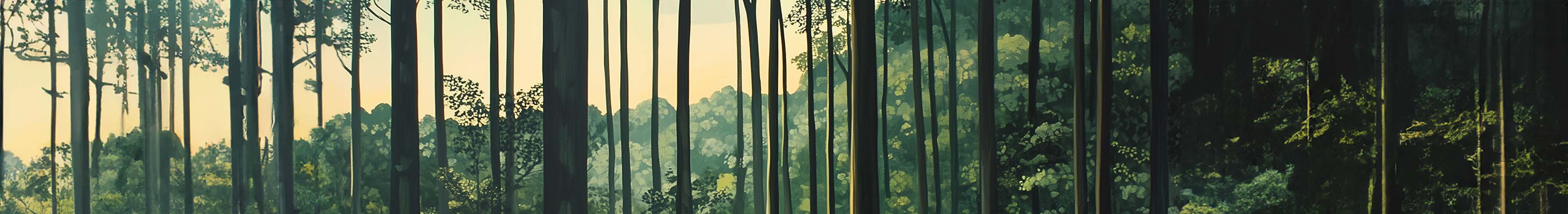  Bäume im Wald 